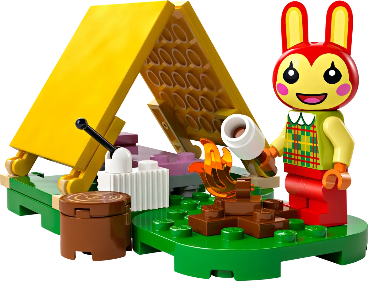 Actividades al aire libre con Coni (Lego 77047): imagen 5